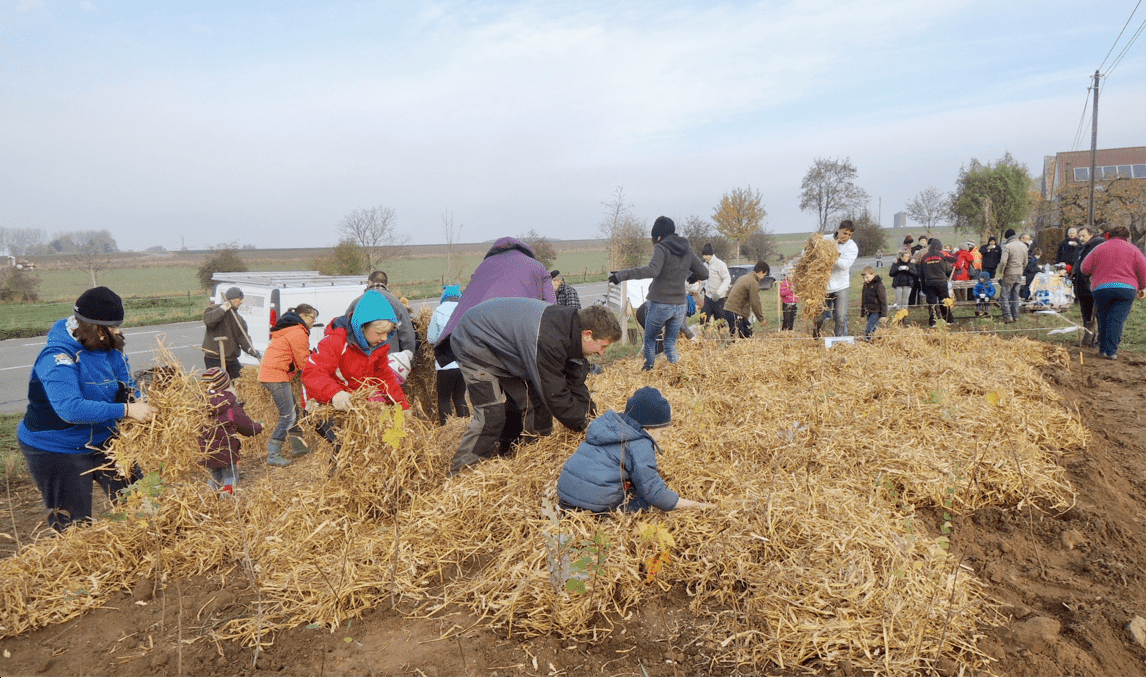 Community project creating a native forest in Belgium
