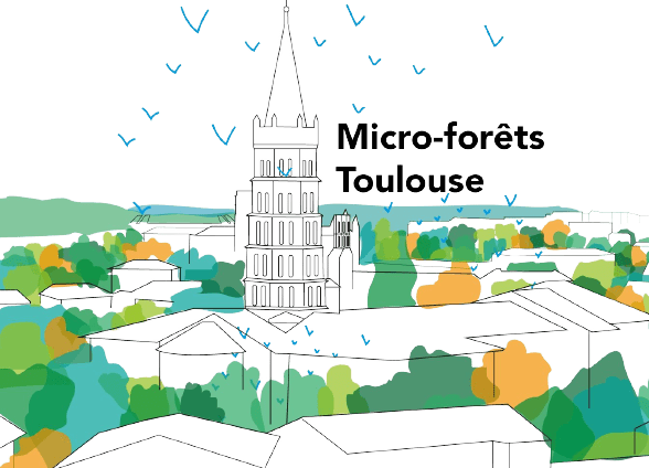 Collectif micro-forêt Toulouse en transition