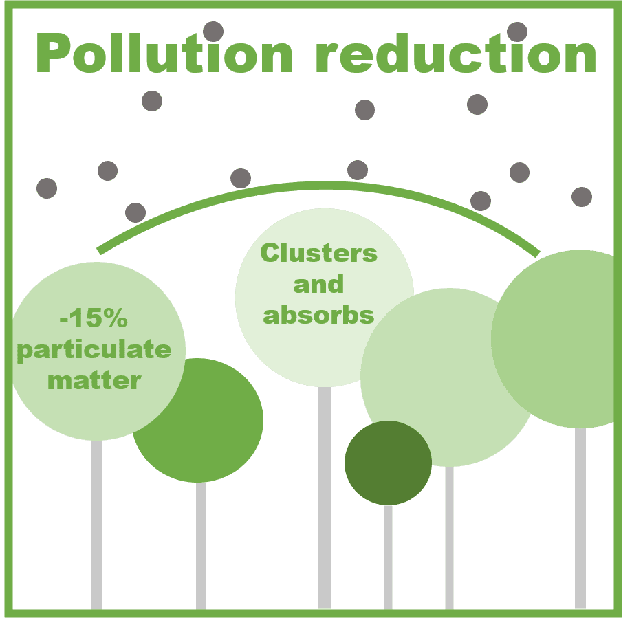 Pollution reduction in Urban Forests